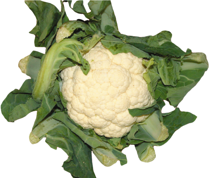 Cauliflower Png Image - Cauliflower (800x600), Png Download