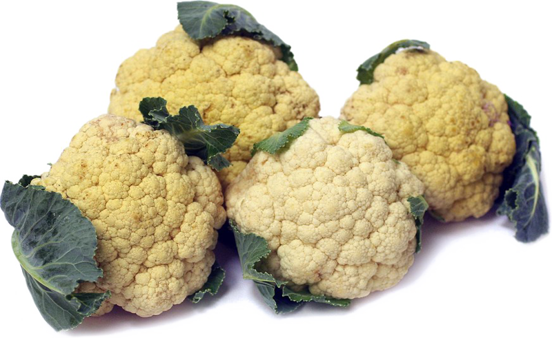 Cauliflower Png Image Free Download - Cauliflower (800x491), Png Download