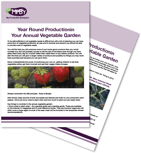 The Annual Vegetable Garden Module - Flyer (750x750), Png Download
