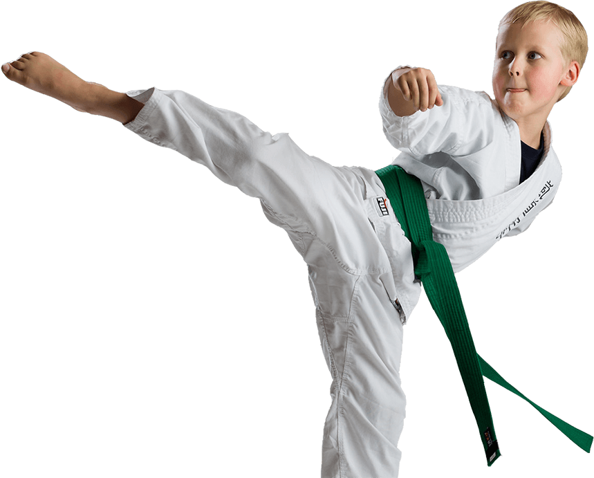 Taekwondo (859x691), Png Download
