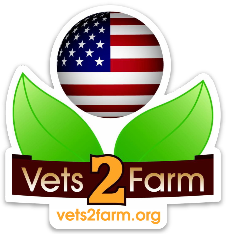 "what You Spend Years Building May Be Destroyed Overnight - Usa Ball (863x895), Png Download