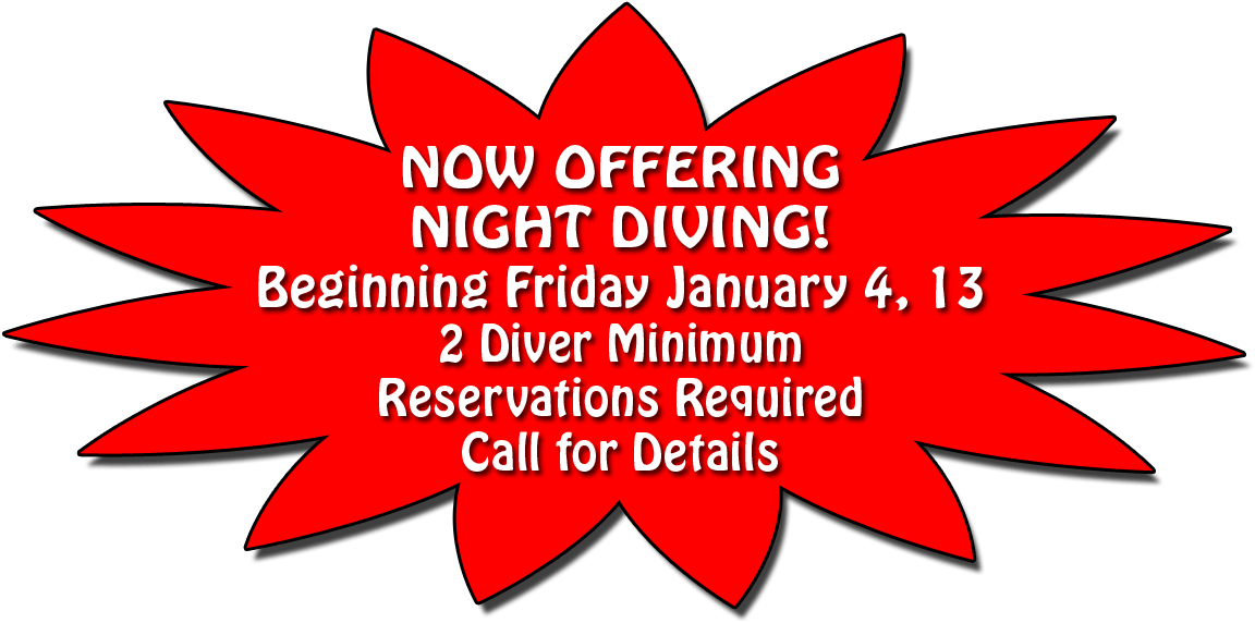 Paradise Night Dive Starburst Copy - Illustration (1500x600), Png Download