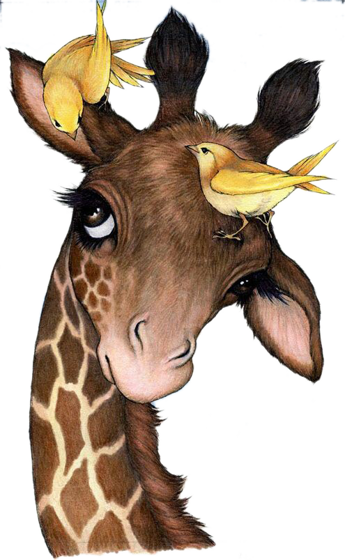 Giraffe Calendar 2019 (495x804), Png Download