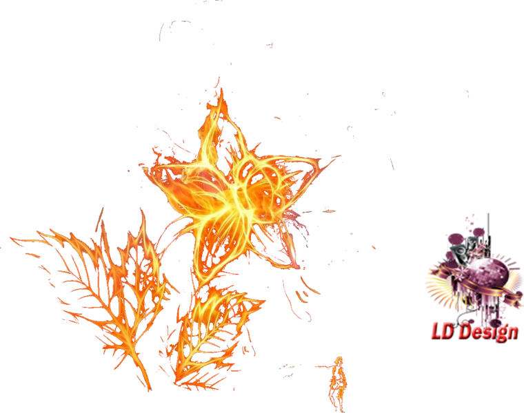 Share This Image - Fire Flower (760x600), Png Download