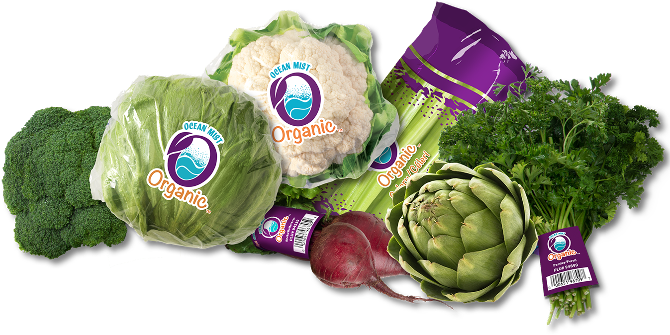 Based Ocean Mist Farms Plans To Show Off Its Season - Artichoke (1346x936), Png Download