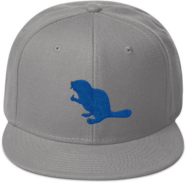Blue Beaver - Snapback Hat - Baseball Cap (690x690), Png Download