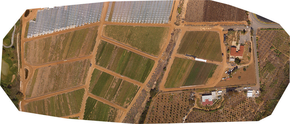 Flower Field 2 - Aerial Photography (1000x428), Png Download