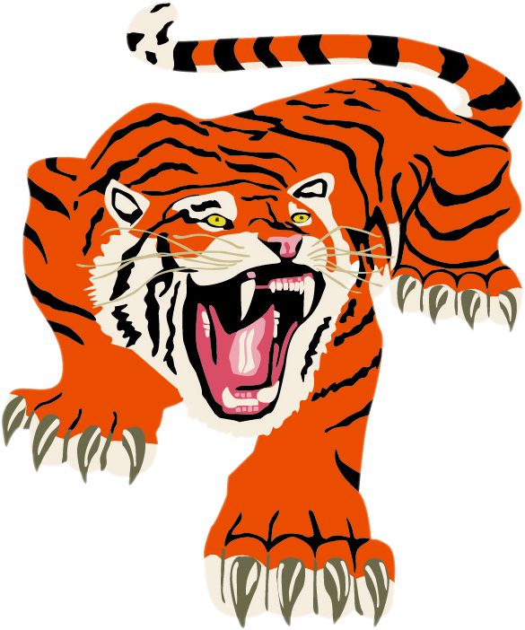 Delano Tigers - Delano Mn Tigers (585x702), Png Download