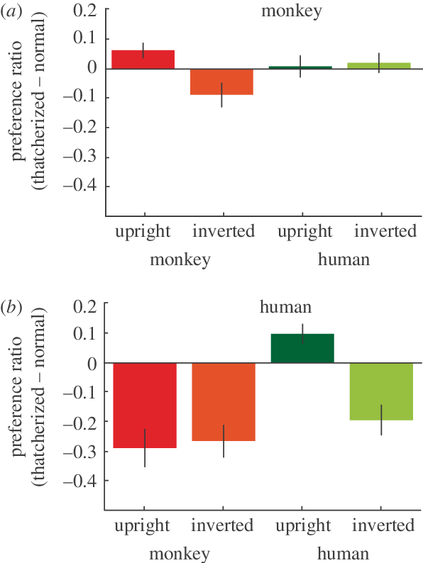 Preference For The Face Picture Above The Blank - Diagram (596x794), Png Download