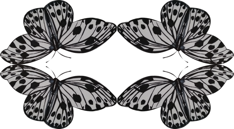 Brush-footed Butterfly (800x442), Png Download
