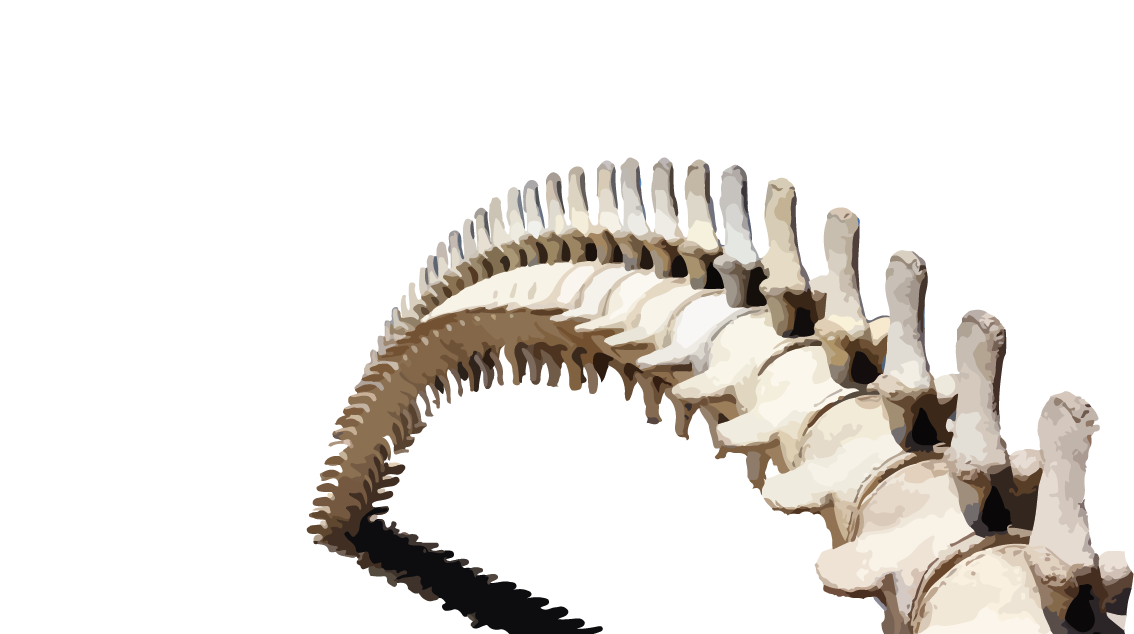 A Pile Of Steeming Content - Whale Bone House (1134x634), Png Download