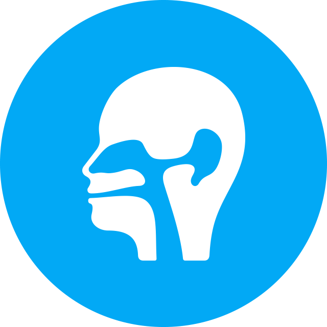 Ear Otology Conditions In Boise Id - Skype Logo Transparent Background (640x640), Png Download