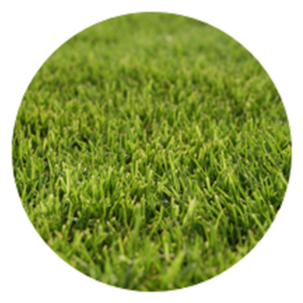 Common Grass Pollens - Circle (1040x432), Png Download
