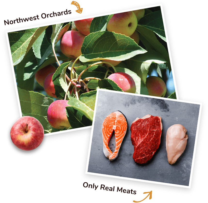 Real Meats And Fruits - Apple (858x838), Png Download