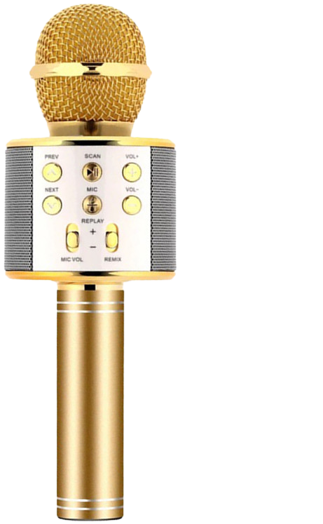 Wu Xin Wireless Microphone National K Song Mobile Phone - Microphone (800x800), Png Download