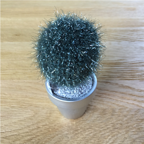 Transparent Succulents Tumblr Online Cactus - Hedgehog Cactus (661x783), Png Download