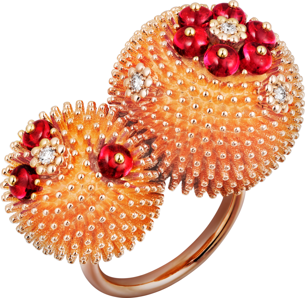 Image Source - Cactus De Cartier Collection (1024x998), Png Download