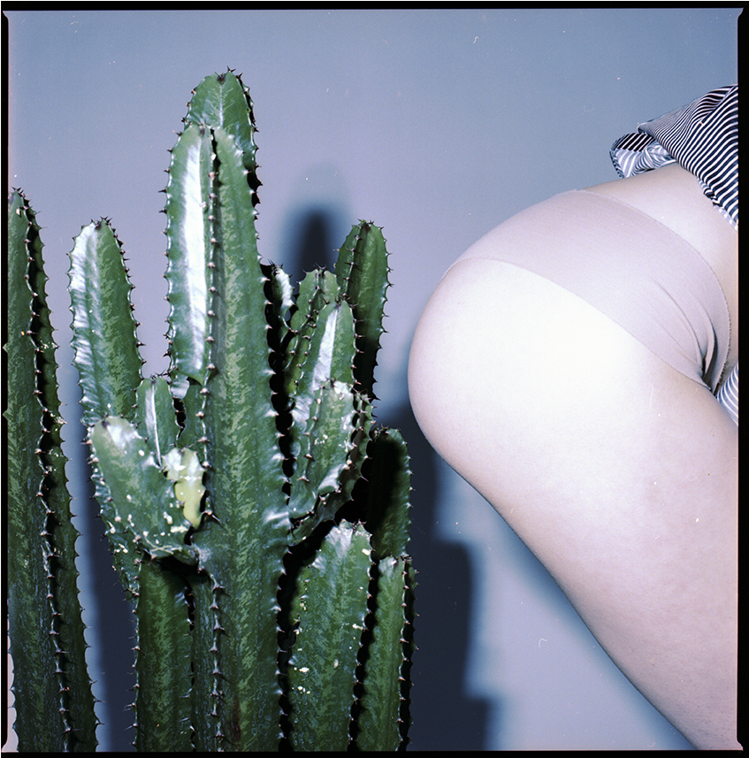 You Can View More Uhmet's Work By Heading Here - San Pedro Cactus (1271x856), Png Download