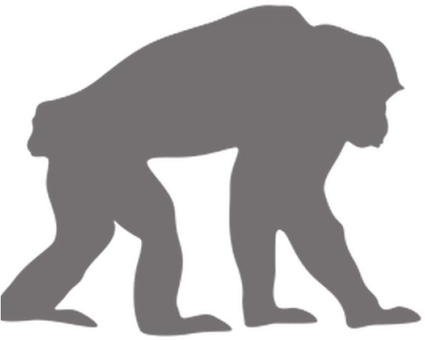 Chimpanzee Clipart Transparent - Chimpanzee Silhouette No Background (640x480), Png Download