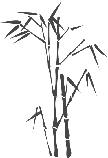 Bamboo Silhouette (800x550), Png Download