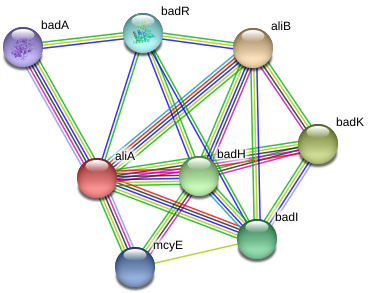 Alia Protein - Circle (975x329), Png Download