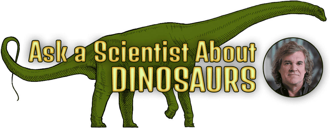 Ask A Scientist About Dinosaurs And Headshot Of Mark - Giant Anteater (1163x488), Png Download