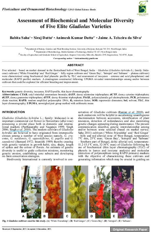 Pdf - Orchid (595x842), Png Download