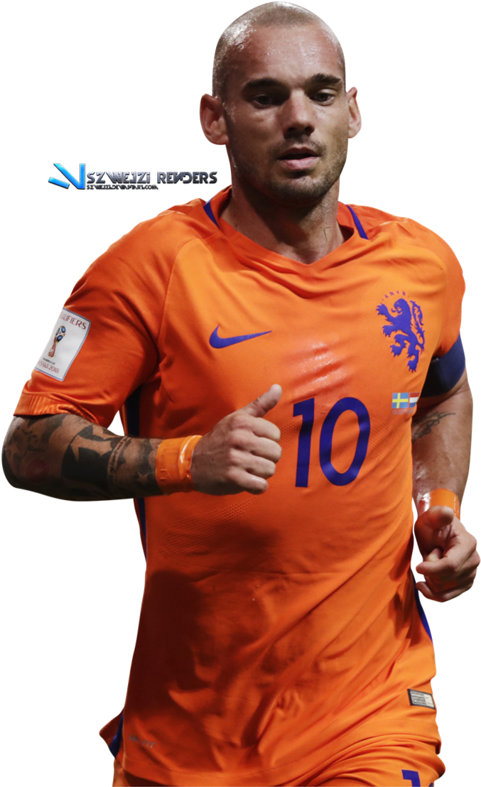 Wesley Sneijder Png - Sneijder Netherlands (699x1143), Png Download