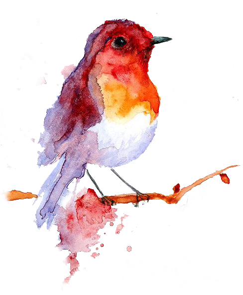 A Single Image Could Have Been Used - Painting Watercolor Bird (525x590), Png Download