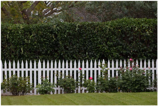 The Picket Fence Has Come To Represent The Suburbs - Picket Fence (980x531), Png Download