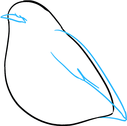 How To Draw Robin - Sketch (680x678), Png Download