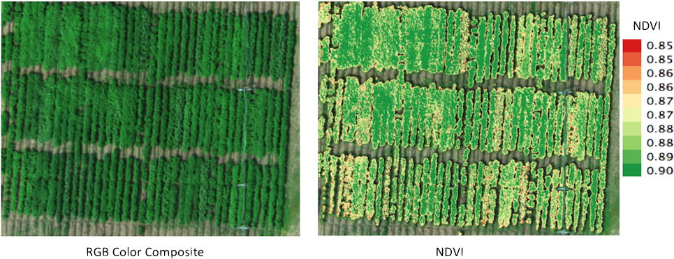 Micasense Reflectance Micasense Filters Micasense Potatoes - Grass (1000x419), Png Download