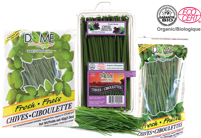 Eco Cert (720x504), Png Download