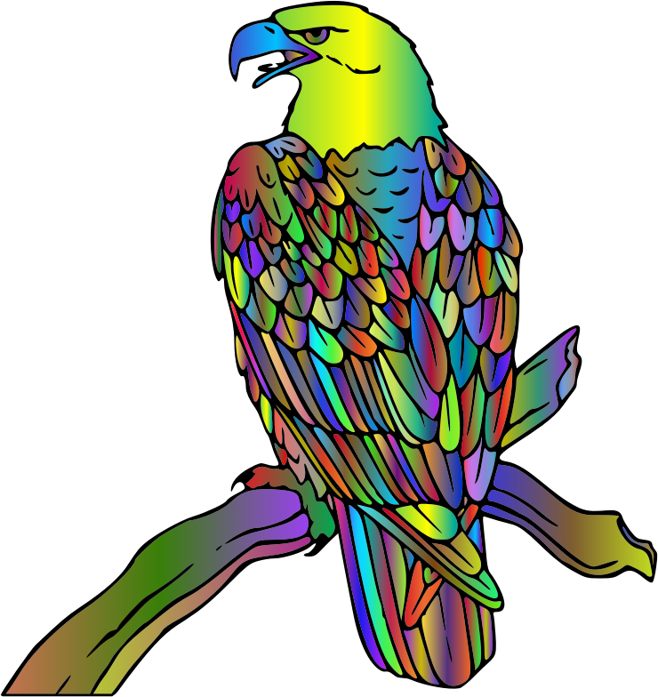 Bald Eagle Polyprismatic - Macaw (740x784), Png Download