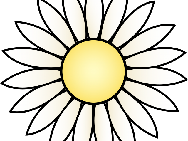 Yellow Flower Clipart Yellow Daisy - Sunflower Black And White Png (640x480), Png Download