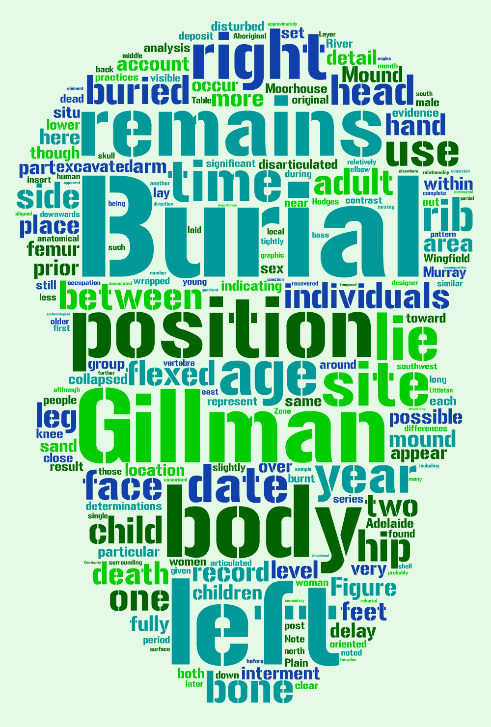 Littleton Et Al Aa77 Human Skull - Empreendedor Individual (1000x1481), Png Download
