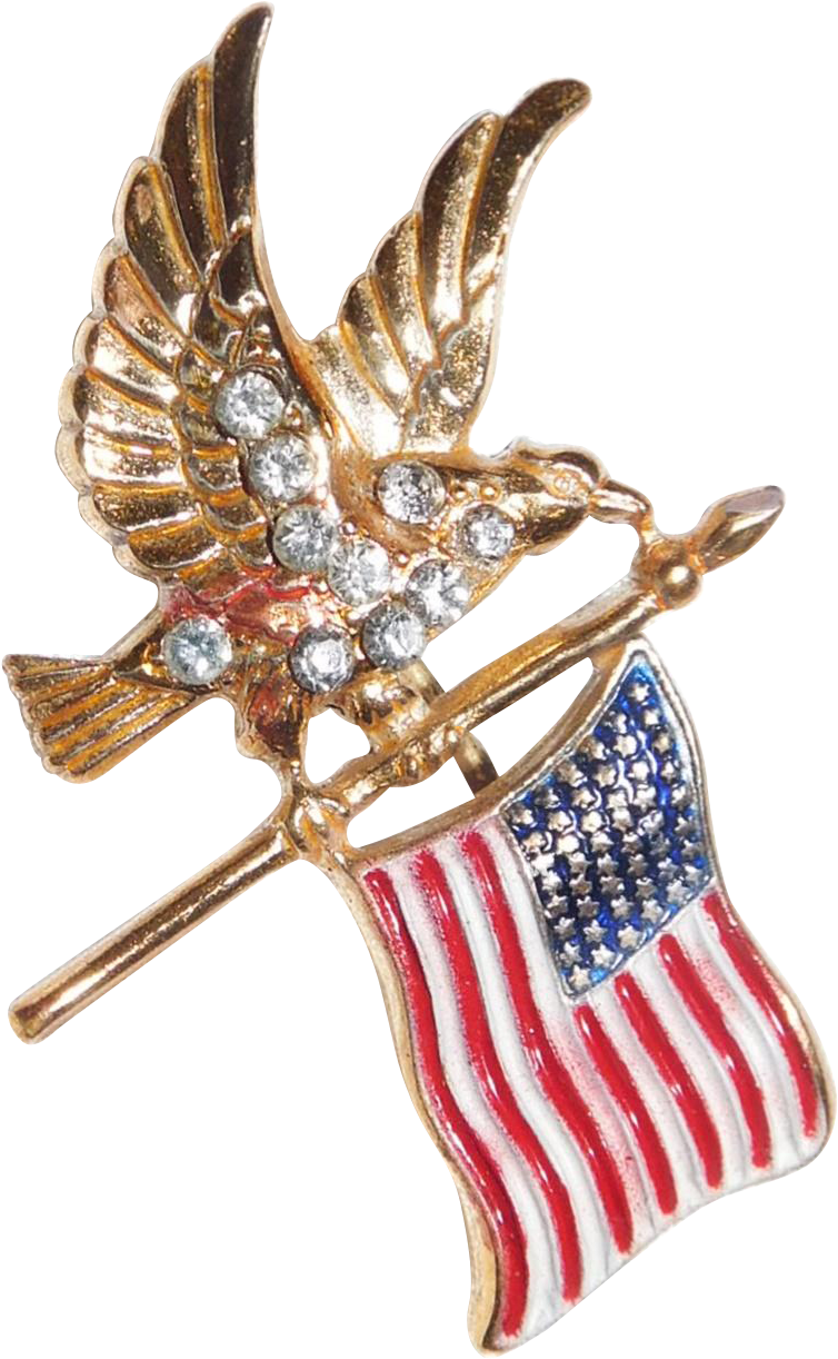 Here For Your Consideration Is This Patriotic Brooch - Bald Eagle (1221x1221), Png Download