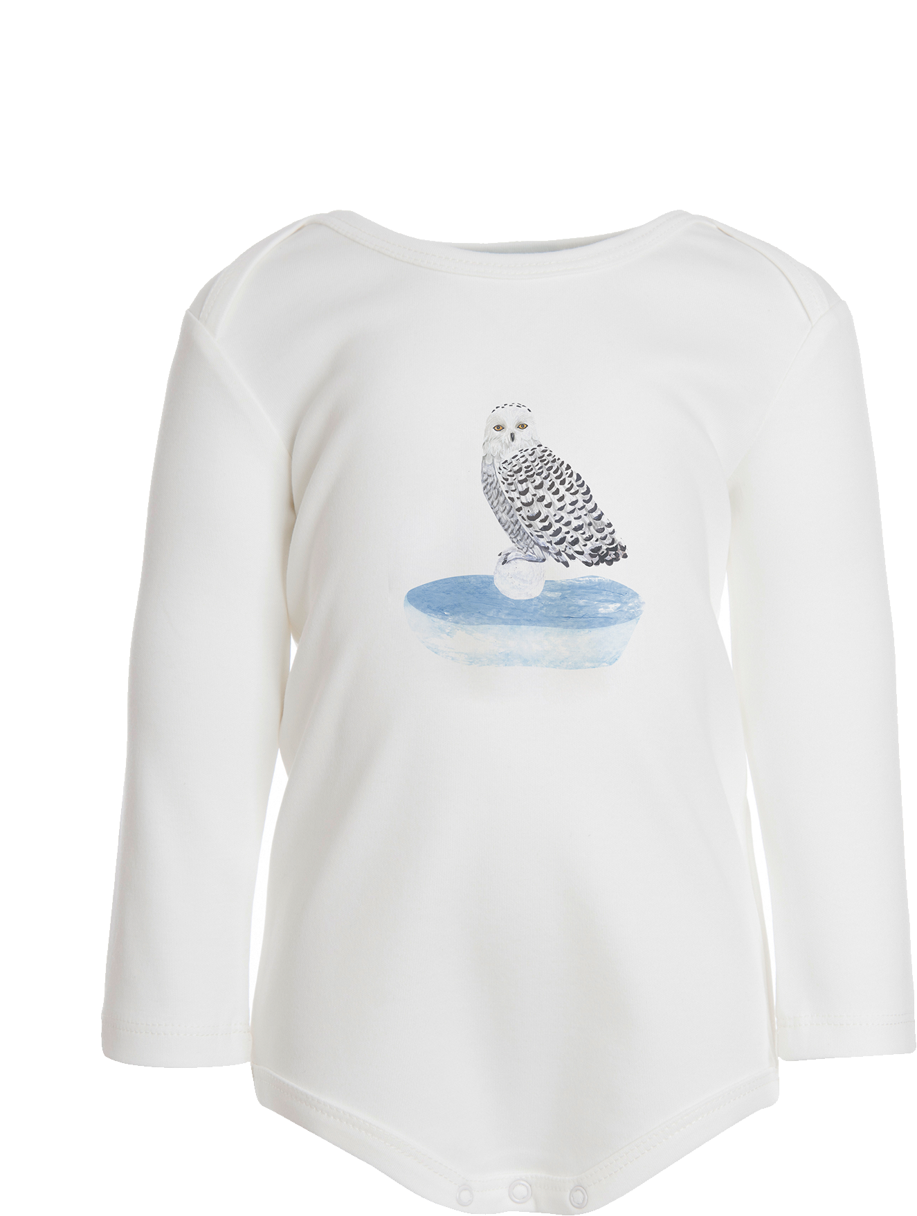 Ls Owl Body - Snowy Owl (1500x2055), Png Download