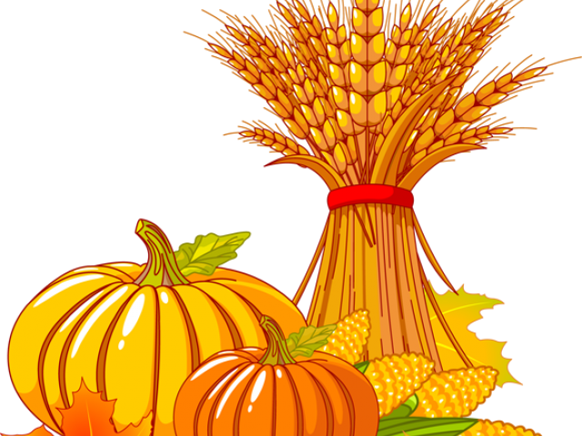 Original - Fall Corn Stalk Clipart (640x480), Png Download