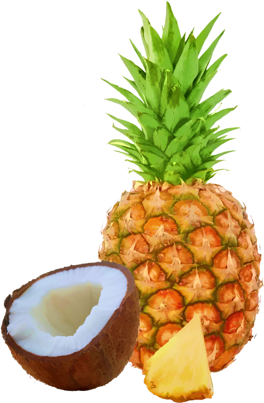 Nutraplex Pineapple Coconut Bar 15 Count - Individual Fruits And Vegetables (900x900), Png Download