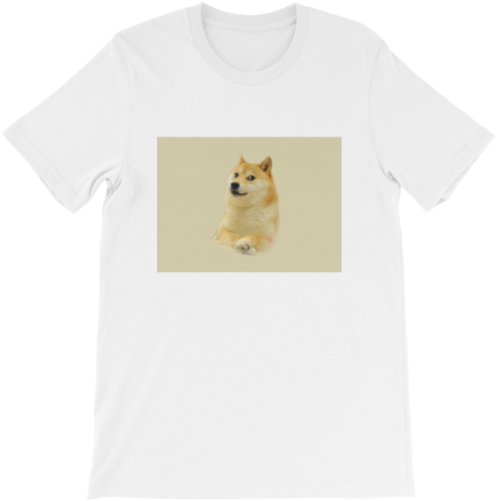 Shiba Inu (600x600), Png Download