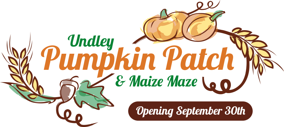 For Full Details On This Great Place For Picking Pumpkins - Actiepagina (988x442), Png Download