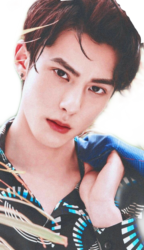 Dylan Wang (480x835), Png Download