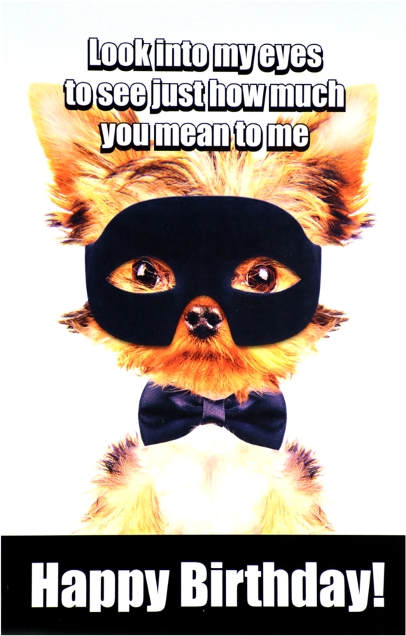 Perritos Super Heroe (1000x1000), Png Download