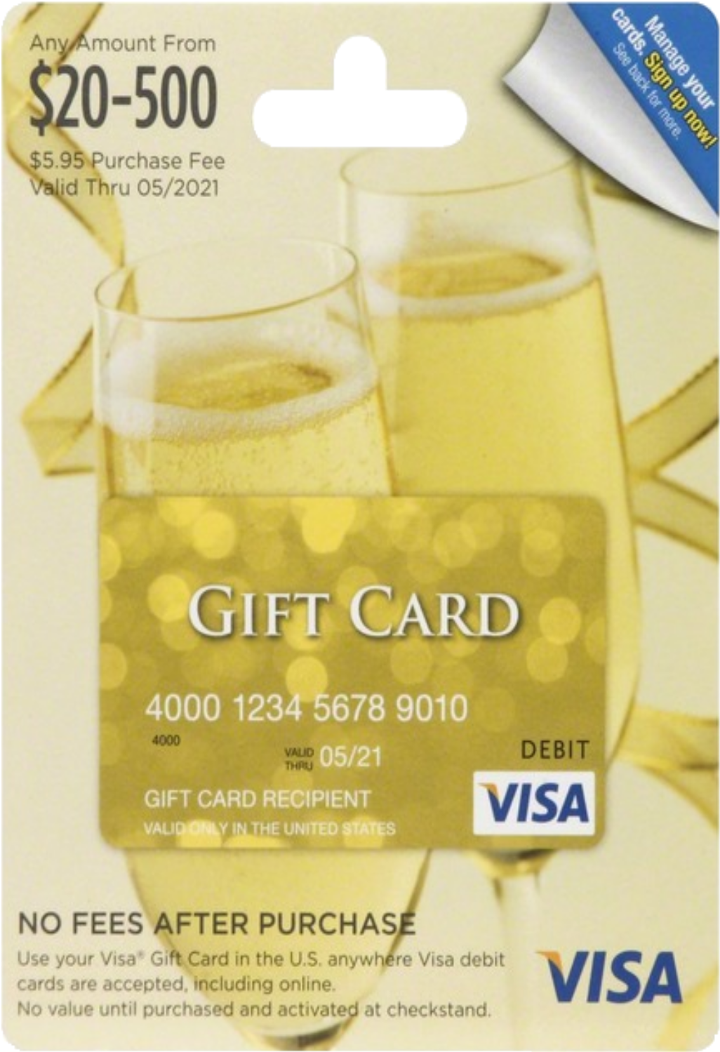 $20 Visa Gift Card (1500x1500), Png Download