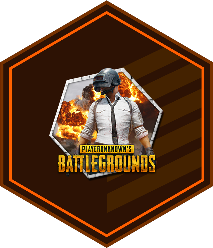 Playerunknown's Battlegrounds Account (pc) - 10 Year Veteran Coin Csgo (800x800), Png Download