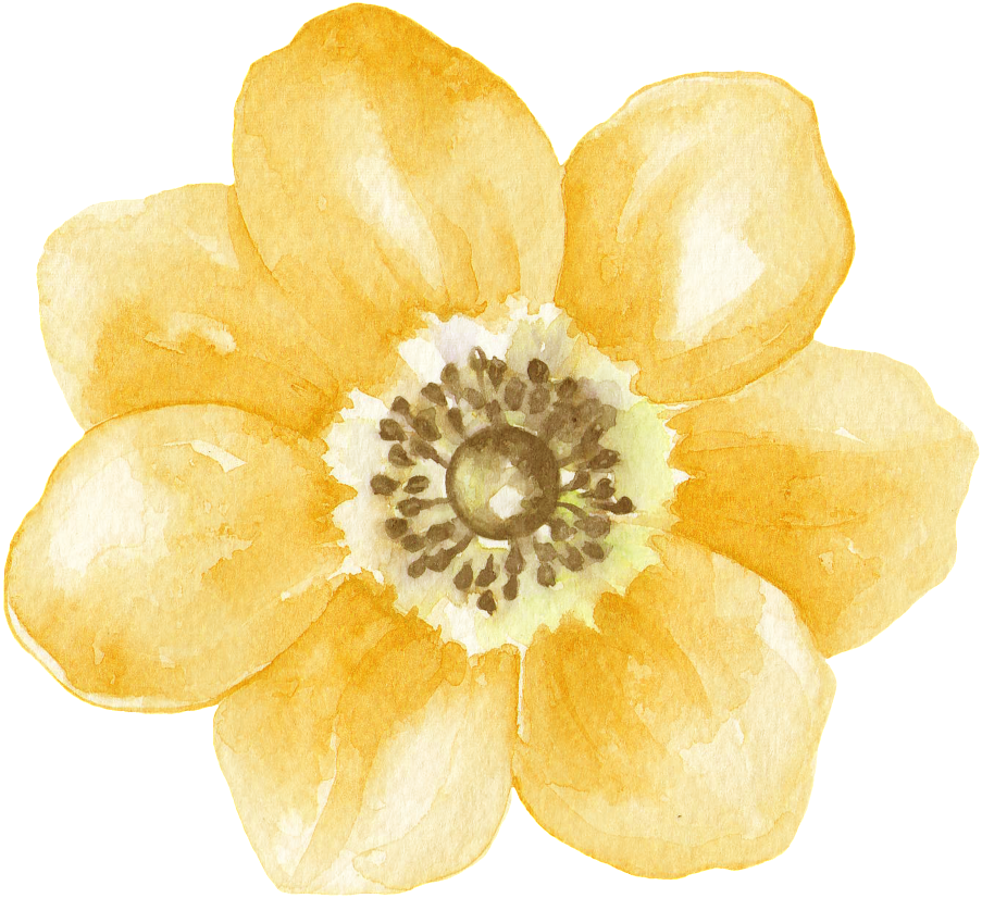 Yellow Fresh Flower Transparent Decorative - Flower (1024x985), Png Download