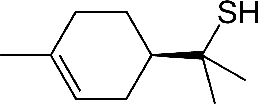 Grapefruit Mercaptan 2d Skeletal - 1 4 Dichlorobenzene Structure (1001x405), Png Download