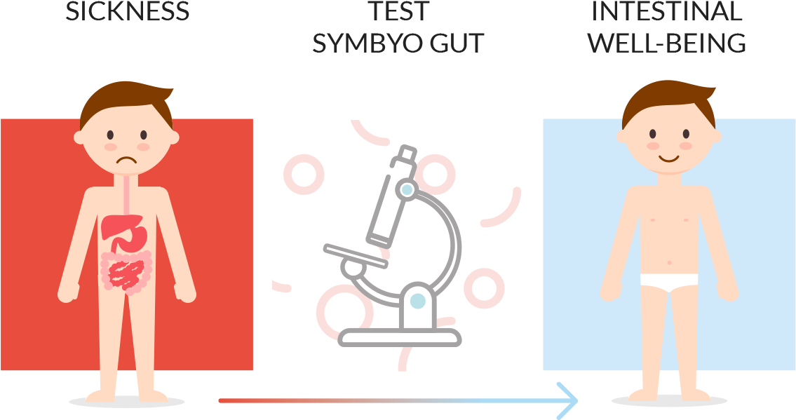 Health-intestinal - Cartoon (1200x637), Png Download