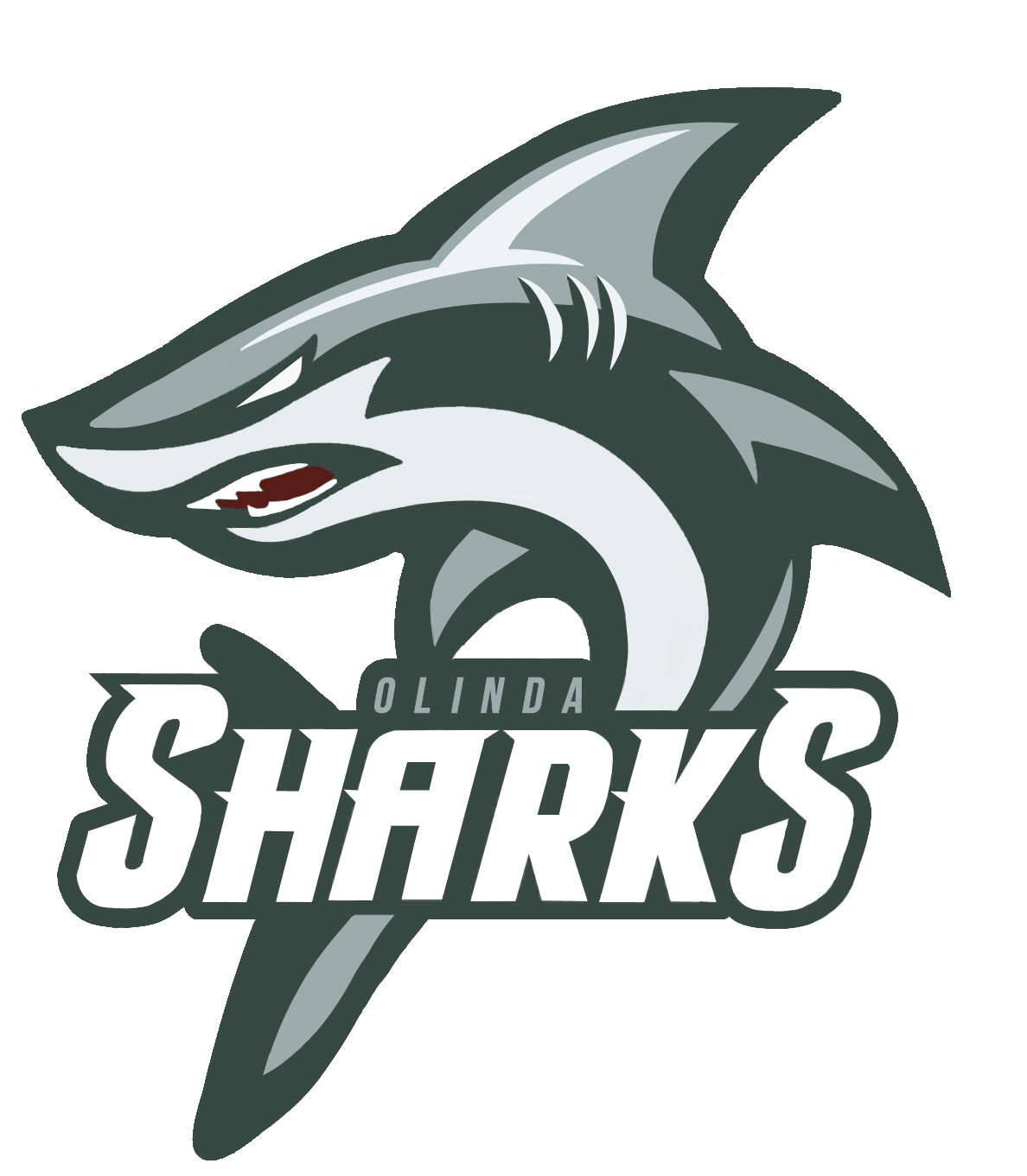 Olinda Sharks - Emblem (1600x1600), Png Download